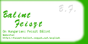 balint feiszt business card