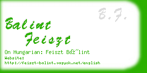 balint feiszt business card